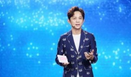 刘大锤爆料何炅视频大全,何炅视频大全背后的精彩瞬间