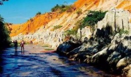 外国网友爆料巴厘岛视频,外国网友热议！